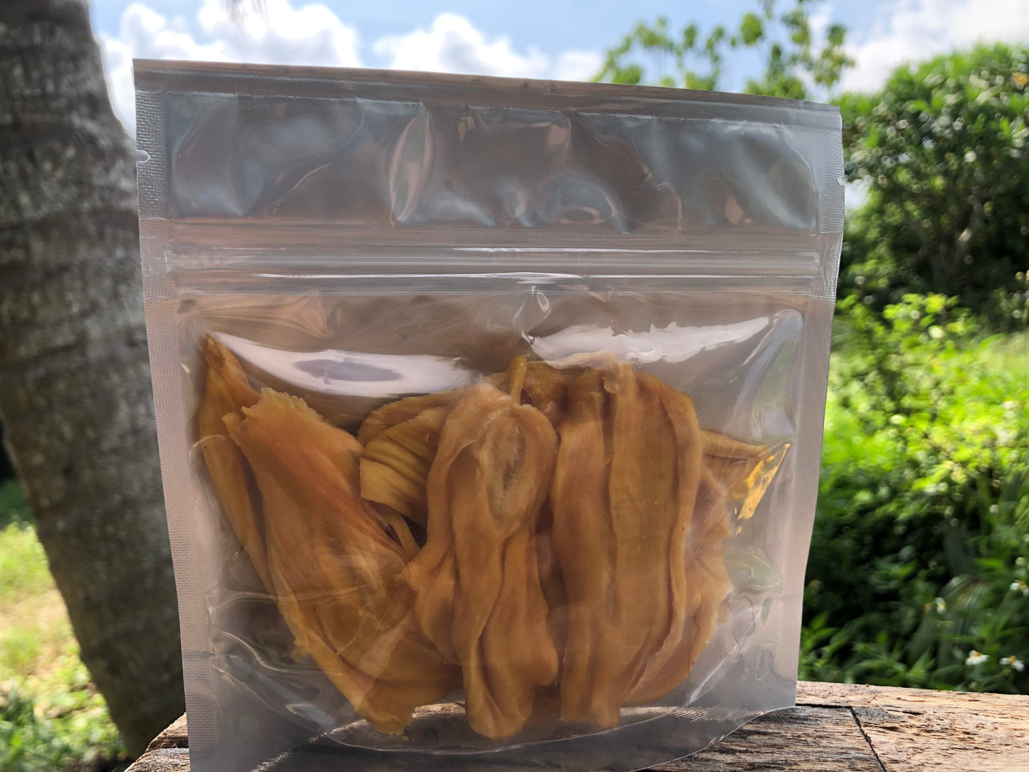 Dried Jackfruit