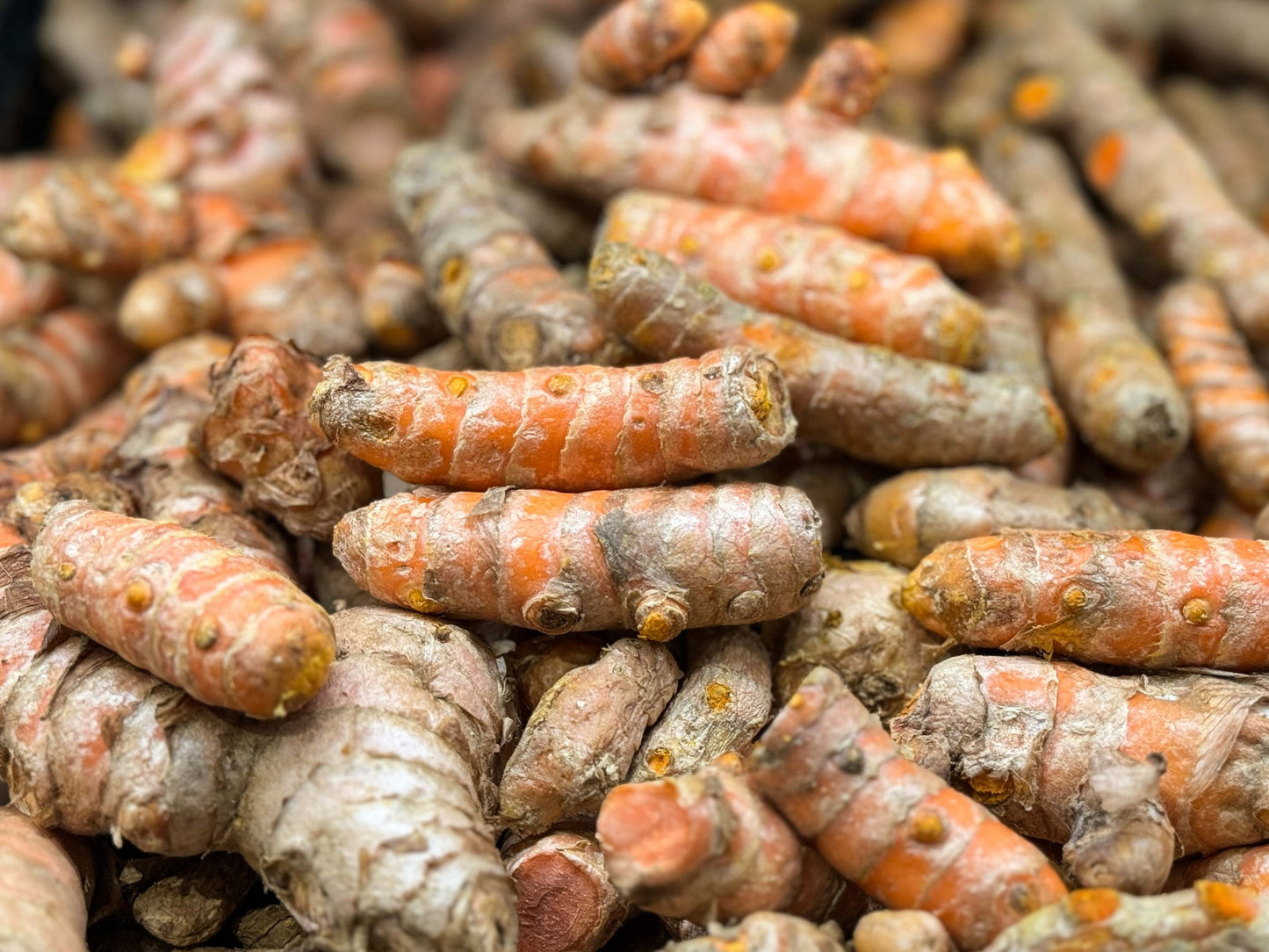 Turmeric (Price/LB)